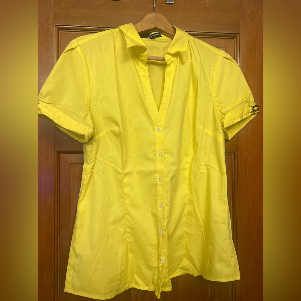 Express Design Studio Short Puff Sleeve, V-Neck Dress Shirt (NWOT)